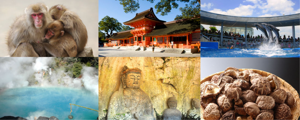 観光タクシー 一般社団法人 大分県タクシー協会